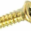 4 X 5/8" Flat Head Screw - Square Drive - Brass Plated - (25 Pcs) -Liberty Sale 4 x 5 8 flat head screw square drive brass plated 25 pcs 2 70416.1640901622