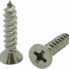 #6 X 3/4" Chrome Wood Screw (250+ Pack) 2 #6 X 3/4" Chrome Wood Screw (250+ Pack) -Liberty Sale 6x34 inch wood screw chrome 16918.1699462675