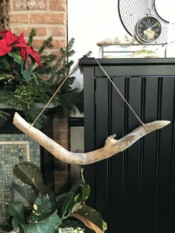 1/2" Cup Hook W/ Shoulder Brass Plated (100 PER BAG) -Liberty Sale brass cup hooks 1 21823.1642163113