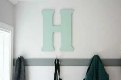 Three Prong Coat Hook - Satin Nickel - 4 1/4" -Liberty Sale coat hook in basement mudroom 1 98980.1660143760