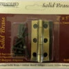 Pair Of Solid Brass Narrow Butt Hinge 2" X 1" Antique Brass With Screws